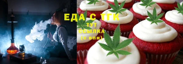 индика Заводоуковск