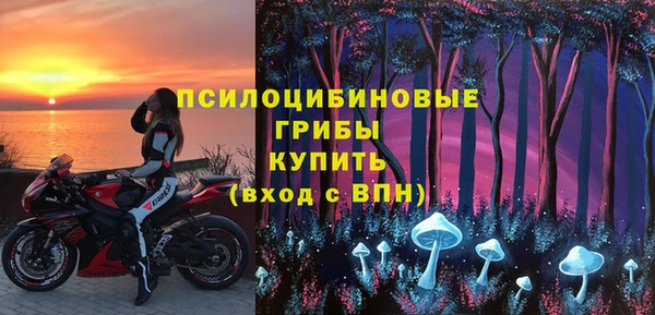МДПВ Елизово