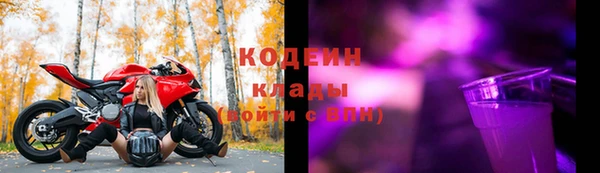 МДПВ Елизово