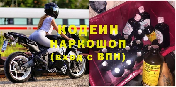 индика Заводоуковск