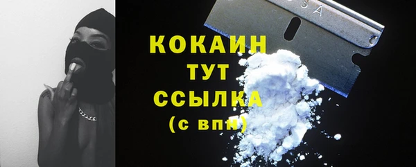 индика Заводоуковск