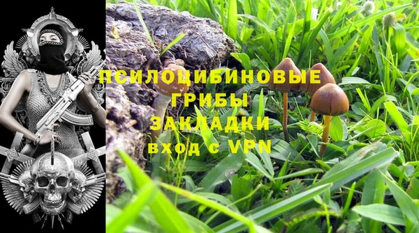 COCAINE Ельня