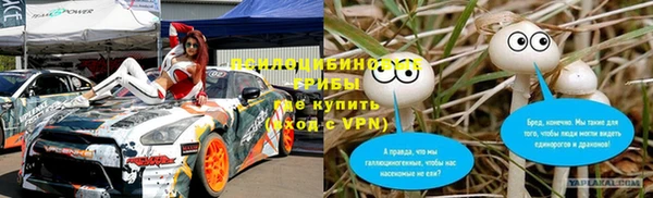 МДПВ Елизово