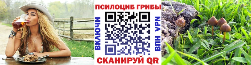 Псилоцибиновые грибы GOLDEN TEACHER  Купить  Суровикино 